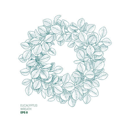 Eucalyptus leaf wreath. Vintage engraved botanical composition. Vector illustrationのイラスト素材