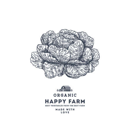 Fresh organic vegetables vintage engraved design template. Botanical cabbage illustration. Vector illustrationのイラスト素材
