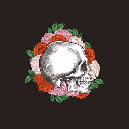 Halloween floral vintage skull illustration. Human skeleton. Vector illustrationのイラスト素材