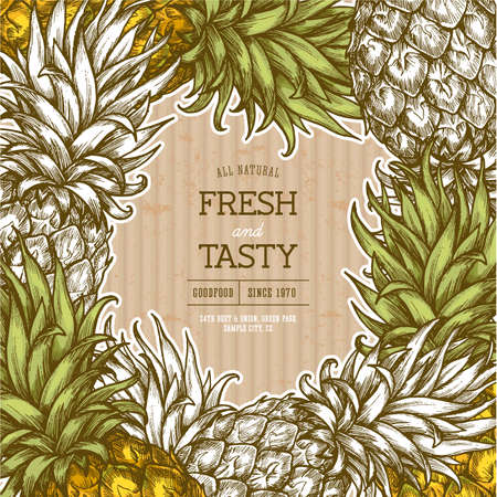 Pineapple cardboard vintage design template. Botanical fruit. Engraved pineapple. Vector illustrationのイラスト素材