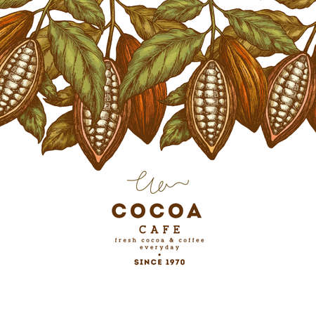 Cocoa bean tree vintage design template. Engraved style illustration. Chocolate cocoa beans. Vector illustrationのイラスト素材