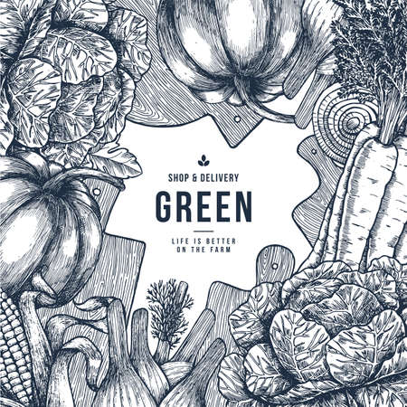Healthy organic food design template.  Fresh vegetables engraved illustration. Vector illustrationのイラスト素材