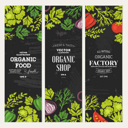 Sketchy vegetables banner collection. Chalkboard style illustration. Vector illustrationのイラスト素材