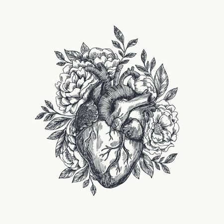 Valentines day card. Anatomical heart with flowers. Vector illustration.のイラスト素材