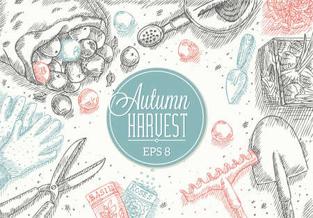 Autumn Harvest Frameのイラスト素材