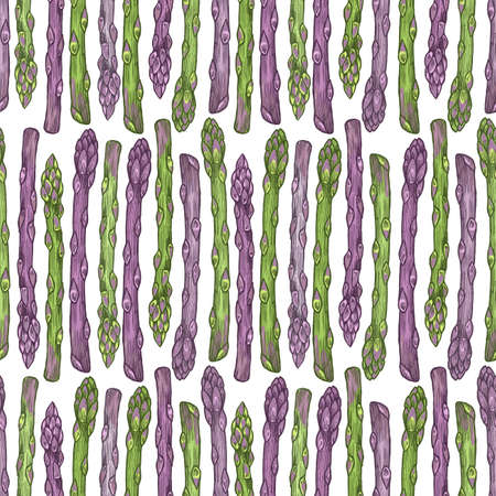 Asparagus colored seamless pattern, Engraved style illustration.のイラスト素材