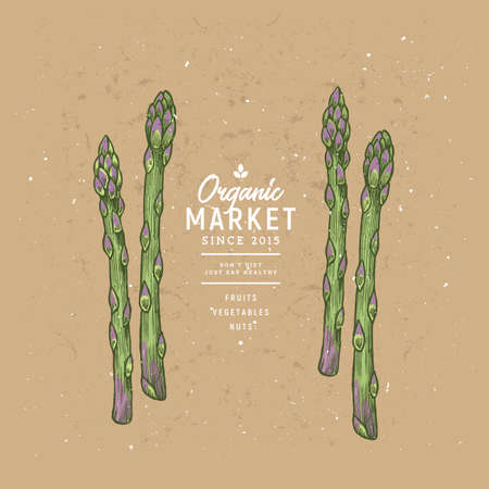 Colored asparagus design template. Organic vegetables. Vector illustrationのイラスト素材