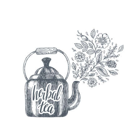Herbal tea engraved illustration. Kettle tea composition. Vector illustrationのイラスト素材