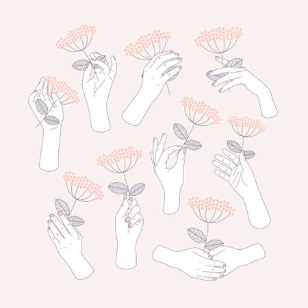 Woman hand set holding a flower. Feminine illustration. Vector illustration
