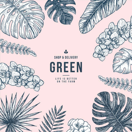 Summer tropical leaf frame. Cover layout template. Floral organic background.  Beauty style.  Vector illustrationのイラスト素材