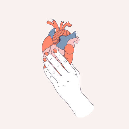 Woman hand holding an anatomic heart. Love pain. Vector illustrationのイラスト素材