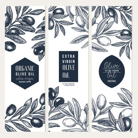 Olive oil vertical design templates. Packaging label collection. Vector illustrationのイラスト素材