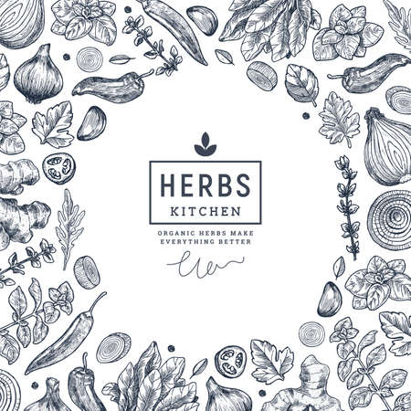 Herbs and spices frame design. Ginger, spinach, onion, pepper, garlic, fennel, basil, oregano engraved vintage illustration. Vector illustrationのイラスト素材