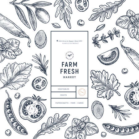 Various vegetables on white background. Growing concept. Organic fresh vegetables. Packaging design template. Vector illustrationのイラスト素材
