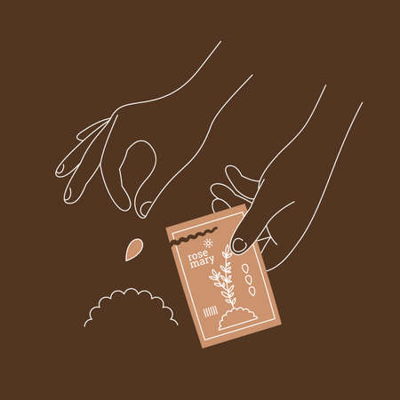 Hands planting a seed in a soil. Garden line art style image.のイラスト素材