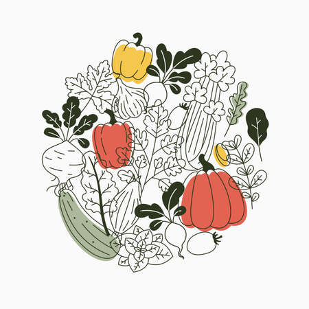 Various vegetables composition. Linear graphic. Scandinavian minimalist style. Organic food design.のイラスト素材