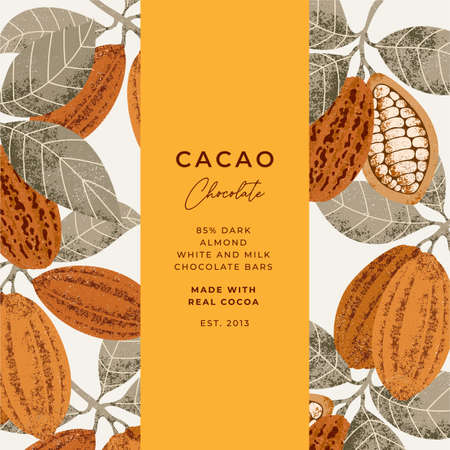 Cocoa bean textured illustration. Vintage style design template. Chocolate cacao beans. Vector illustrationの写真素材