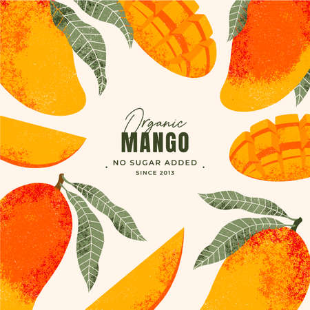 Mango fruit illustration frame design template. Vintage textured style. Ripe mango plant with leaves.のイラスト素材