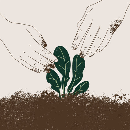 Hands planting a herb in a soil. Work in a garden.のイラスト素材
