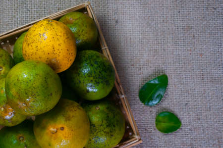 photo of fresh orange fruit, you can use as the background and billboard marketの写真素材