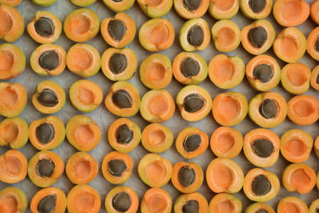 Apricots background. Apricot slices. Fresh organic fruits. Countryside garden harvest. Fruit salad,...