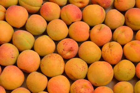 Apricots background. Fresh organic apricot fruits. Countryside garden harvest. Fruit salad,...