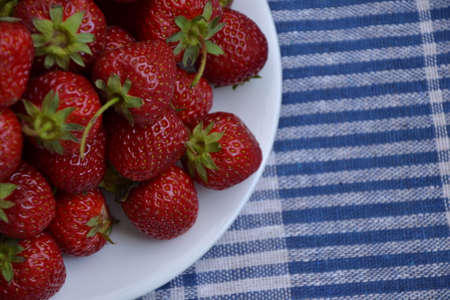 Strawberry from country garden. Freshly picked strawberries. Organic berries. Ripe sweet fruit on blue napkin. Village garden harvest.の写真素材