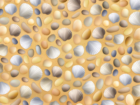 Sea stones and shells on the sand. Seashore background. Ocean sand beach vector texture.のイラスト素材