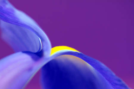 abstract irisの写真素材