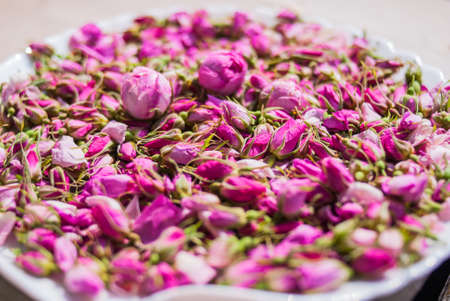 flowers and buds of tea rose in spring. tea roseの写真素材