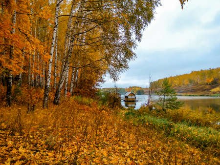 Colorful and vibrant autumn leaves. Red autumn leaves. Branches with bright autumn leaves. Bright and colorful autumn landscapes and landscapes.の写真素材