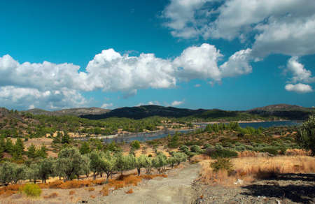 Greece, Rhodes. Wild olive plantations against the backdrop of a lake.の写真素材