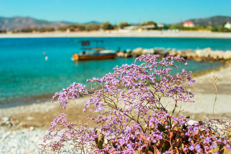 Amazing view of a beautiful beach and clear turquoise water on the Mediterranean coast in Greece. Location: Greece, Rhodos. A great place to relax.の写真素材