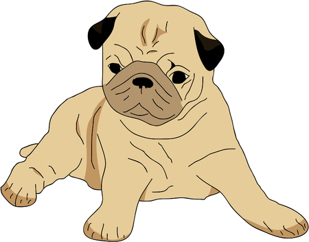 Puppy pugのイラスト素材