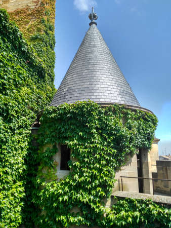Tower of a castle with vines