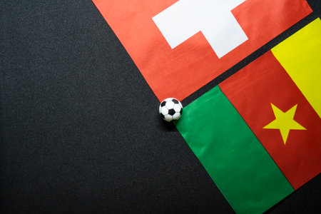 November 2022: Switzerland vs Cameroon, Football match with national flagsの写真素材
