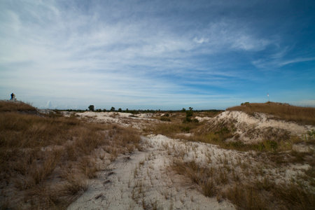 View of the sand quarryの写真素材