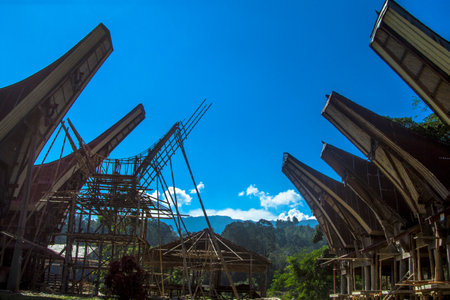 Building a tongkonan for a funeral at Sulawesi, Indonesiaの写真素材