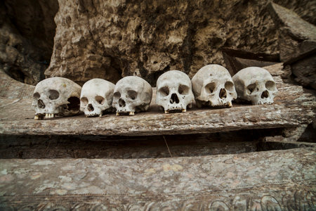 Torajan cave burial, skulls with offeringsの写真素材