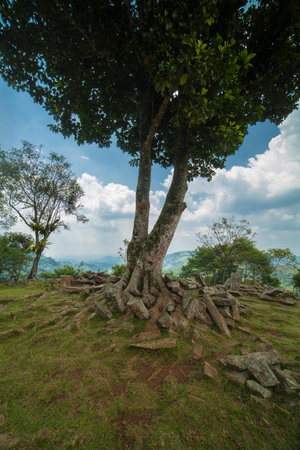 Rocks under a tree. megalithic site Gunung Padang, Cianjur, Indonesiaの写真素材
