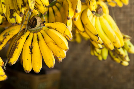Bananas are sold in traditional marketsの写真素材