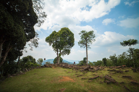 Tree surrounding the megalithic site area, Gunung Padang, West Java, Indonesiaの写真素材