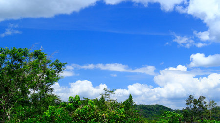 The blue sky above the treesの写真素材