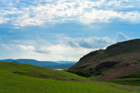 Field of spring grass and mountainの写真素材