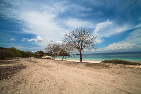Pink Beach Lombok Indonesiaの写真素材