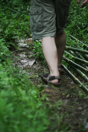 Close up man walking in the Footpath in forest Close up man walking in the Footpath in forestの写真素材