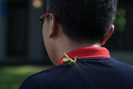 man with a grasshopper on a shoulder in summerの写真素材