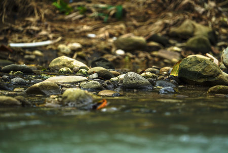 rounded stones in riversの写真素材