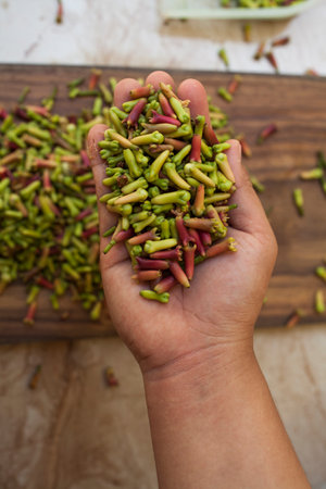 hands holding cloves