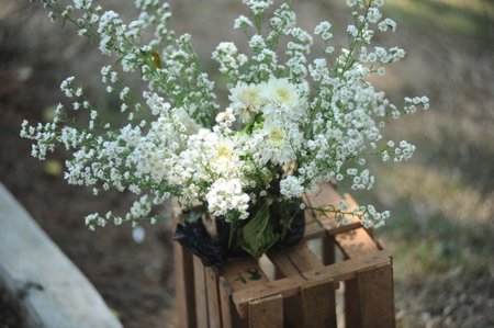 wedding decoration flower, garden party conceptの写真素材